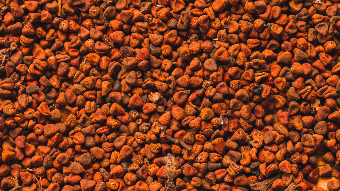 Annatto Seeds